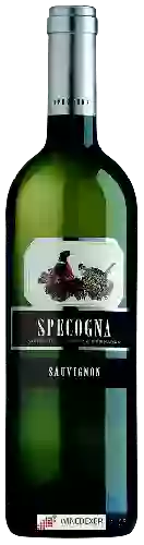 Wijnmakerij Specogna - Sauvignon