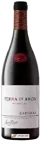 Wijnmakerij Spice Route - Terra de Bron Carignan