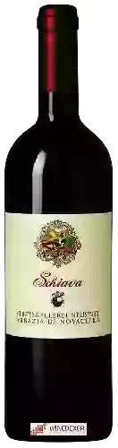 Wijnmakerij Abbazia di Novacella (Stiftskellerei Neustift) - Schiava