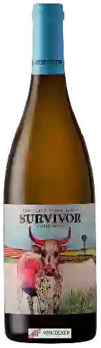 Wijnmakerij Survivor - Chenin Blanc