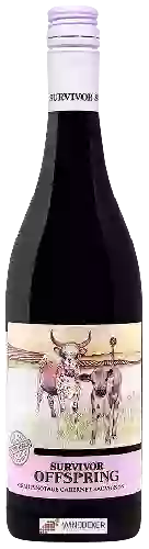 Wijnmakerij Survivor - Offspring Red Blend