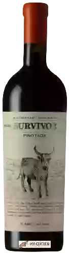 Wijnmakerij Survivor - Reserve Pinotage