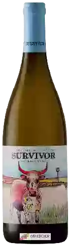 Wijnmakerij Survivor - Sauvignon Blanc