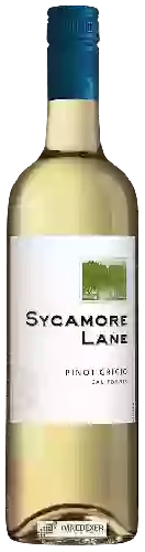 Wijnmakerij Sycamore Lane - Pinot Grigio