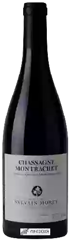 Domaine Sylvain Morey - Chassagne Montrachet