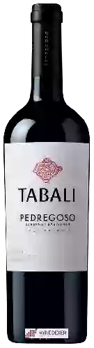 Wijnmakerij Tabali - Pedregoso Gran Reserva Cabernet Sauvignon