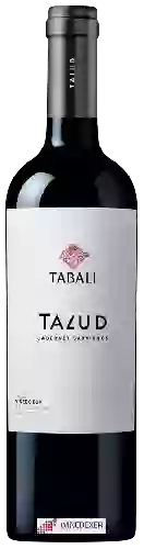 Wijnmakerij Tabali - Talud Cabernet Sauvignon