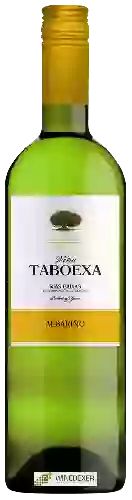 Wijnmakerij Viña Taboexa - Albariño