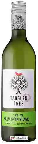 Wijnmakerij Tangled Tree - Tropical Sauvignon Blanc