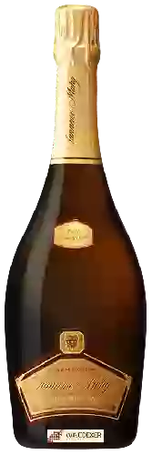 Wijnmakerij Tanneux-Mahy - Vieilli en Fut de Chêne Brut Champagne