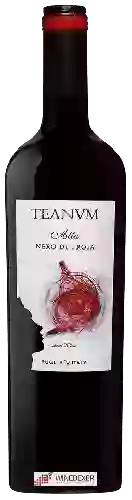 Wijnmakerij Teanum - Alta Nero di Troia