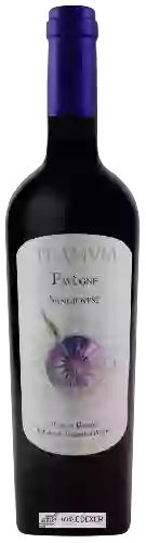 Wijnmakerij Teanum - Favùgnë Sangiovese