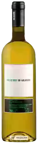 Wijnmakerij Tenuta di Valgiano - Palistorti Bianco