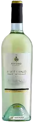 Wijnmakerij Tenuta Polvaro - Pinot Grigio