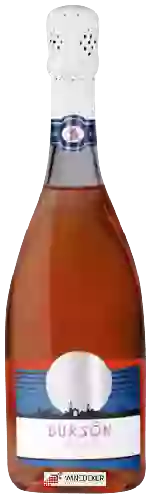 Wijnmakerij Tenuta Uccellina - Bursôn Rosé