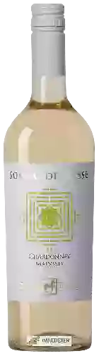 Wijnmakerij Tenuta Ulisse - Sogno di Ulisse Chardonnay - Malvasia