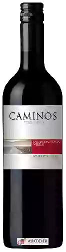 Wijnmakerij Terra Andina - Caminos Cabernet Sauvignon - Merlot