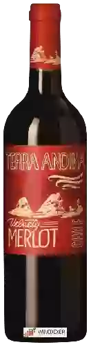 Wijnmakerij Terra Andina - Merlot Velvety