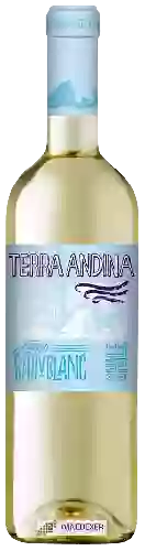 Wijnmakerij Terra Andina - Sauvignon Blanc Fresh