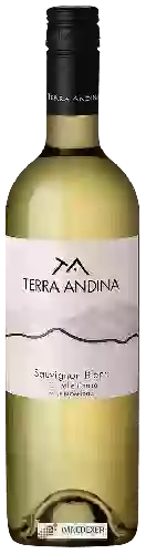 Wijnmakerij Terra Andina - Sauvignon Blanc