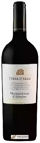 Wijnmakerij Terra d'Aligi - Montepulciano d'Abruzzo