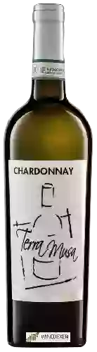 Wijnmakerij Terra Musa - Chardonnay