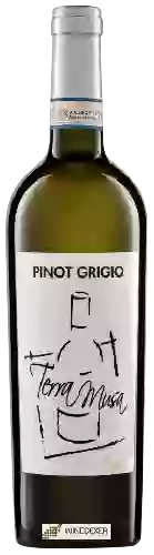 Wijnmakerij Terra Musa - Pinot Grigio