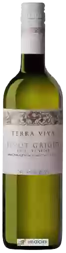 Wijnmakerij Terra Viva - Pinot Grigio delle Venezie