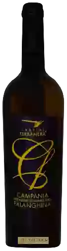 Wijnmakerij Terranera - Falanghina