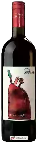 Wijnmakerij Terre Apuane - Formarossa