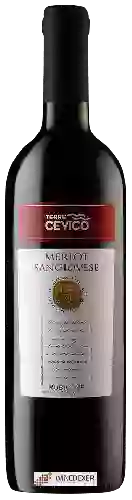 Wijnmakerij Terre Cevico - Rubicone Merlot - Sangiovese