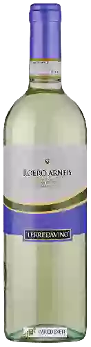 Wijnmakerij Terre da Vino - Roero Arneis