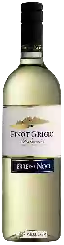 Wijnmakerij Terre del Noce - Pinot Grigio Dolomiti