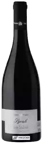 Wijnmakerij Terre di Giafar - Syrah