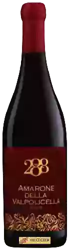 Wijnmakerij Terre di Valgrande - 288 Amarone della Valpolicella