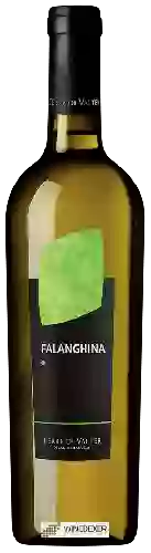 Wijnmakerij Terre di Valter - Falanghina