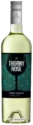 Wijnmakerij Thorny Rose - Pinot Grigio