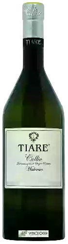 Wijnmakerij Tiare - Malvasia