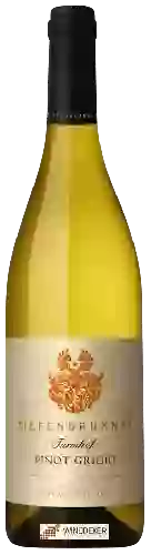 Wijnmakerij Tiefenbrunner - Turmhof Pinot Grigio