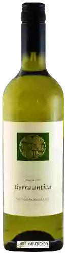 Wijnmakerij Tierra Antica - Sauvignon Blanc