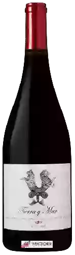 Wijnmakerij Tierra y Mar - Salzgeber Vineyard Syrah