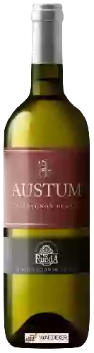 Bodegas Tionio - Austum Sauvignon Blanc