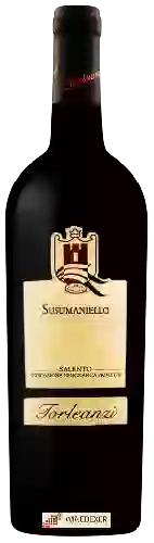 Wijnmakerij Torleanzi - Susumaniello