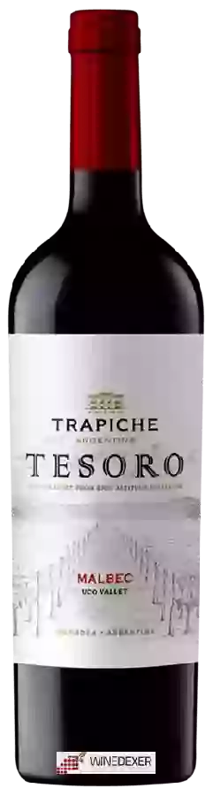 Wijnmakerij Trapiche - Tesoro Malbec