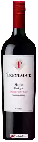 Wijnmakerij Trentadue - Block 500 Merlot