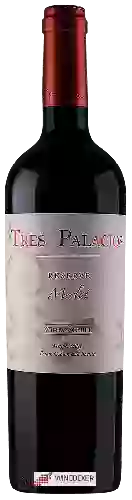 Wijnmakerij Tres Palacios - Merlot Reserve