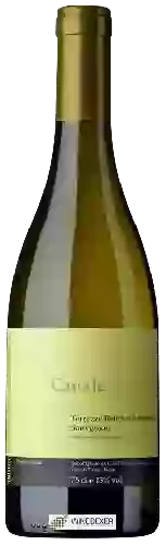 Wijnmakerij Triacca - Terrazze Retiche di Sondrio Sauvignon