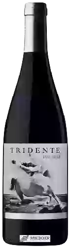 Wijnmakerij Tridente - Mencia