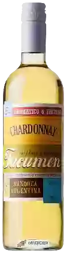 Wijnmakerij Tucumen - Chardonnay