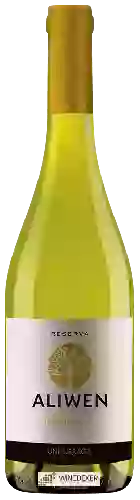 Wijnmakerij Undurraga - Aliwen Reserva Chardonnay